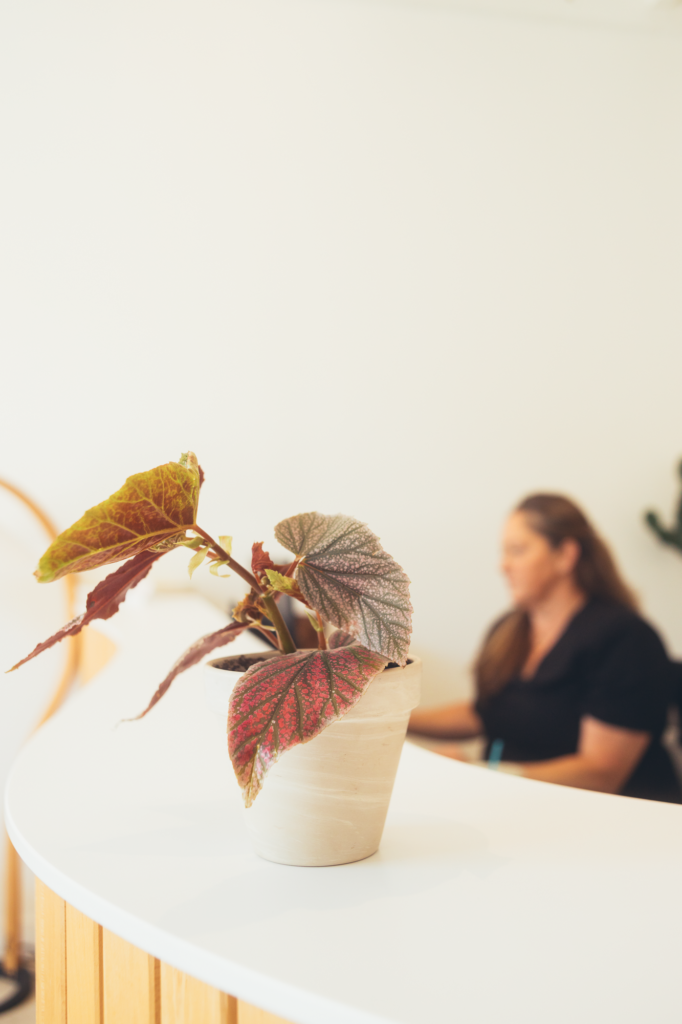 Potted indoor plant on a reception desk in a modern dental office, creating a warm and welcoming clinic environment.